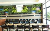 Туры в отель Vivian Airport Hotel Saigon