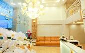 Туры в отель Vivian Airport Hotel Saigon