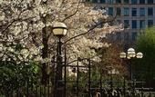 Туры в отель Four Seasons Hotel Canary Wharf