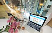 Туры в отель The Noble Swan Hotel New World