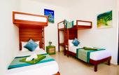 Туры в отель Ocean Gateway Dickwella