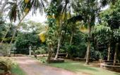 Туры в отель Villa Enchantment View