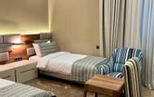 Туры в отель Plaza Viktoria Hotel Yerevan