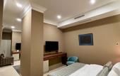 Туры в отель Plaza Viktoria Hotel Yerevan
