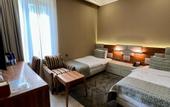 Туры в отель Plaza Viktoria Hotel Yerevan