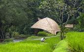 Туры в отель Four Seasons Resort Bali at Sayan