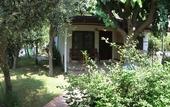 Туры в отель Caretta Caretta Pension