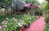 Туры в отель Caretta Caretta Pension