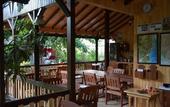 Туры в отель Caretta Caretta Pension