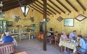 Туры в отель Caretta Caretta Pension
