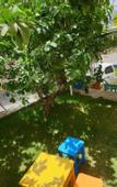 Туры в отель Limon Pansiyon