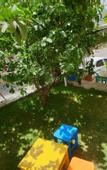 Туры в отель Limon Pansiyon