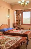 Туры в отель Guardian Guest House