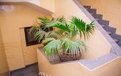Туры в отель Guardian Guest House