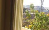 Туры в отель Royal Pyramids Inn