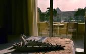 Туры в отель Giza Pyramids View Inn
