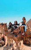 Туры в отель Giza Pyramids View Inn