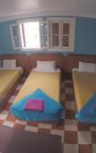 Туры в отель Dahab Hostel