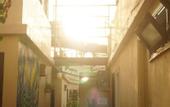 Туры в отель Dahab Hostel
