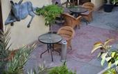 Туры в отель Dahab Hostel