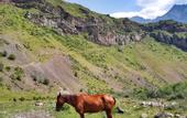 Туры в отель Cozy Hotel Kazbegi