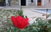 Туры в отель Swiss Eviniz Hotel
