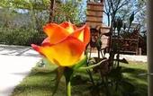 Туры в отель Swiss Eviniz Hotel