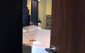 Туры в отель New Star Zamalek Hotel