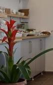 Туры в отель Piano Hotel