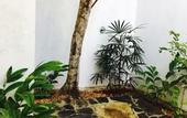 Туры в отель Ceylon Olive
