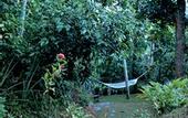 Туры в отель Ceylon Olive