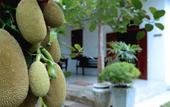 Туры в отель Ceylon Olive