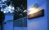 Туры в отель Ceylon Olive