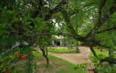 Туры в отель Ceylon Olive