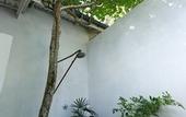 Туры в отель Ceylon Olive