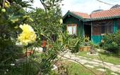 Туры в отель Turkuaz Bungalows