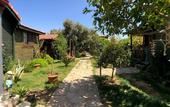 Туры в отель Turkuaz Bungalows