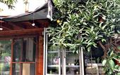 Туры в отель Turkuaz Bungalows