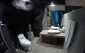 Туры в отель Hotel Sunray
