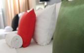 Туры в отель Sevana City Hotel Kandy