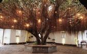 Туры в отель Artisan Villa Colombo