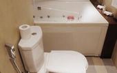 Туры в отель Artisan Villa Colombo