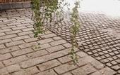 Туры в отель Artisan Villa Colombo