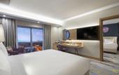 Туры в отель Doubletree By Hilton Afyonkarahisar