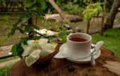 Туры в отель Ayur Ayur Ayurveda Retreat