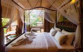 Туры в отель Ayur Ayur Ayurveda Retreat