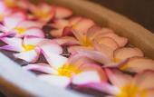 Туры в отель Ayur Ayur Ayurveda Retreat
