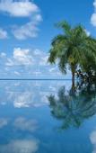 Туры в отель Orson Hotel & Resort Con Dao