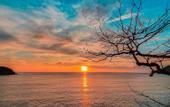 Туры в отель Orson Hotel & Resort Con Dao