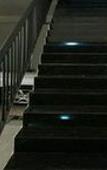 Туры в отель House Of Seya